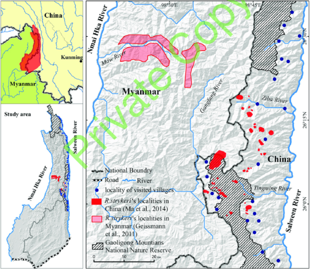 Map-of-the-study-area-and-distribution-of-R-strykeri-in-the-Sino-Myanmar-border-region